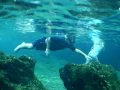 Wekiwa Springs Snorkeling  Super Clear Florida W Kids Entry Level Freediving