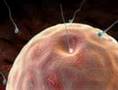 Male Infertility (Getting Pregnant #3)