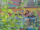 Walibi 2007 Walibi 2007