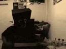 \"The Bankrupt Bassplayer\" Part 11