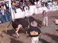 DIFERENTES TOROS