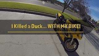 Duck Hunting With My Bike?!