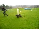 Bambi springer hoppbana