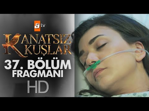 Kanatsız Kuşlar 37. Bölüm Fragmanı                                                                                                                                                                                                                        
