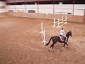 premer cour de saut avec lynaco premer cour de saut avec lynaco