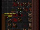 Tibia Calmera Hero Hunt EK Style