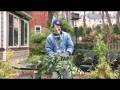 Putting Greens in Your Outdoor Planters