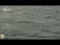 fiske serie