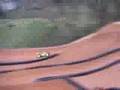 Tiltyard NRL Race 1 - Truggy Action