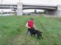 Wstep do jaskolki 1
