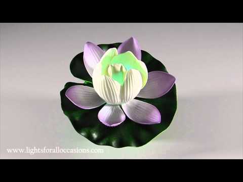 Floating Lotus Lily Pad with Color Changing LED-Demo