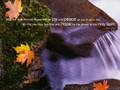 Lincoln Brewster - Everlasting God