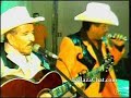 tigrillo palma   el cajonsito