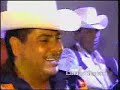 tigrillo palma   el cajonsito