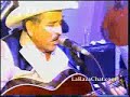 tigrillo palma   el cajonsito