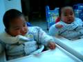videos de H2shoutingtwins 312