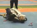 Clécio Alcântara x Denilson Pimenta by X-COMBAT Clécio Alcântara x Denilson Pimenta by X-COMBAT