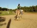 Leana spin com mula