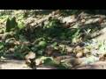 dirty jobs s06e04 part 1