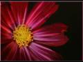 Yeshuve En Naadhane ¦ Malayalam Christian Song