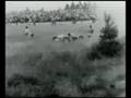 1961-Nurburgring