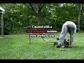 operation of little beaver auger