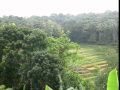 WARNING: The verdant hills | natural scenery