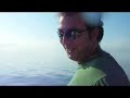 Spinning Estremo 35 kg. Mola Mola Pesce Luna Ocean Sunfish