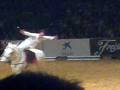 volteo sicab 2008
