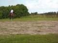 Me and my standardbred
