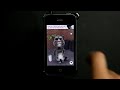 Talking TomCat iPhone App Review