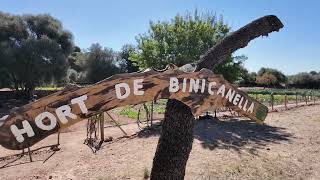 Projecte “Bellver” a Binicanella Projecte “Bellver” a Binicanella