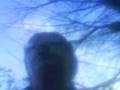 Adventure -- Day 1 (Part 2): Dawes Hill -- Ravign