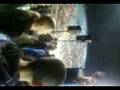 videos de stade velodrome