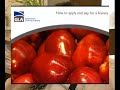 Gangmaster Licensing Authority (GLA) Gangmaster Licensing Authority (GLA)