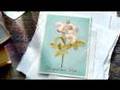 Ben Lee - Kohl's Commercial - We're All In This Together