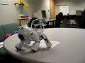 Aibo Desktop Manipulation - Paper Transport 2