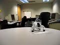 Aibo Desktop Manipulation - Paper Transport 2