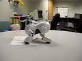 Aibo Desktop Manipulation - Paper Transport 2