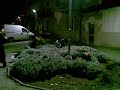 filmati-stupidi-agmla2.html