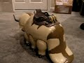 avatar-appa-with-airlaunching-aang.html
