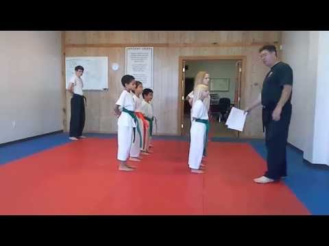 Hampton's Karate Academy - Class Roll Call and Inspection 01