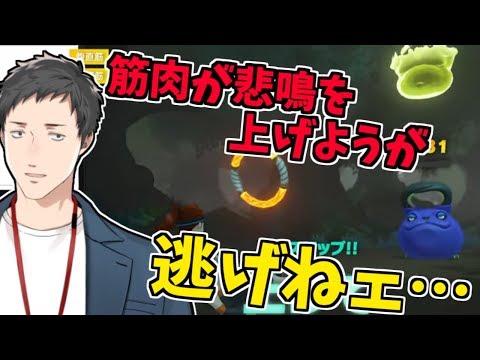 動画