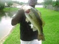 TheBassTimes-fishing for giant largemouth