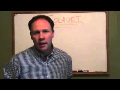 Solavei Scam Review - A Truth Exposed