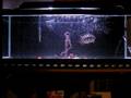 My 3 tanks: tank 2 - the jaguar tank.