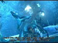 Final Fantasy X Extra Cutscene -  Braska\
