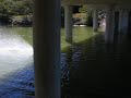 Proboat Shockwave 36 Video 2