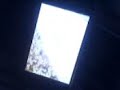 ibeer iphone ibeer iphone