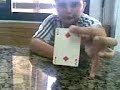 houdini card trick revealed!